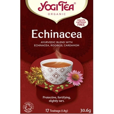 YT echinacea.jpg