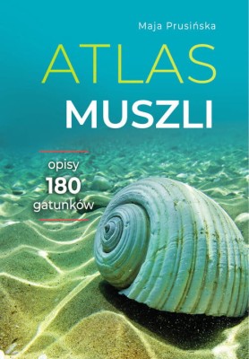 atlas-muszli.jpg
