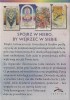 astrowyrocznia gwiezdnych kodow_00.jpg
