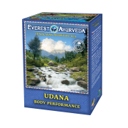 Herbata UDANA pobudzenie kondycji fizycznej