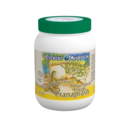 pranaprash.png