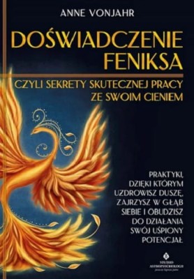 doswiadczenie feniksa.jpg