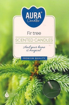 aura_TL_6_fir tree.jpg