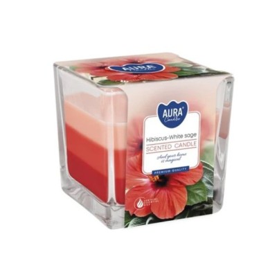 trojkolor hibiskus.jpg